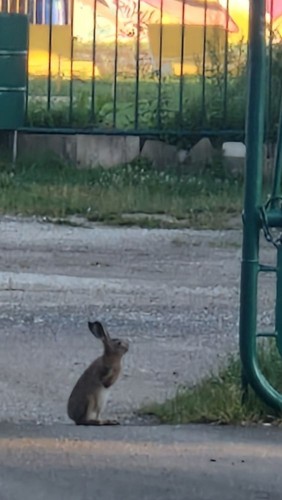 20250728_063424.jpg