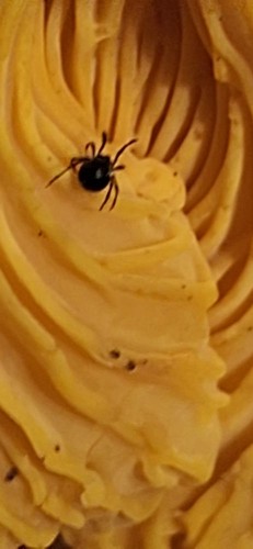 20250807_201852.jpg