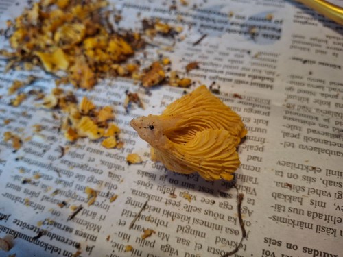 20250807_201947.jpg
