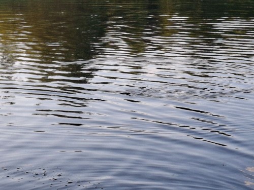 20250809_191454.jpg