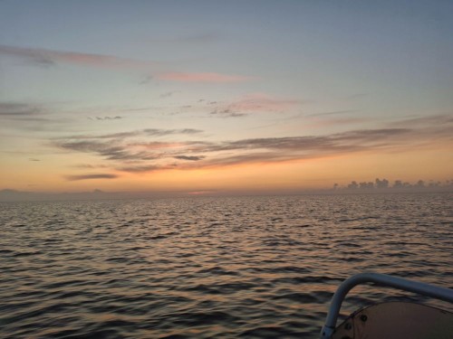20250809_051336.jpg