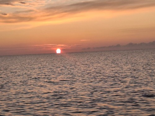 20250809_052249.jpg