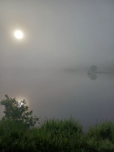 20250809_074847.jpg