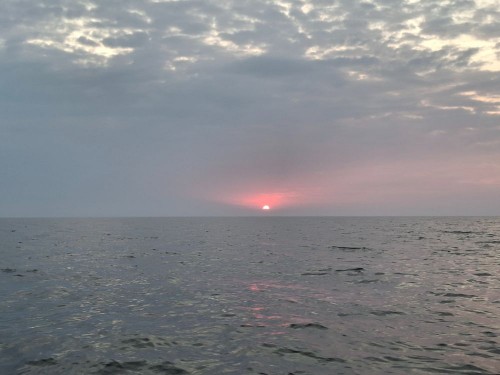20250830_061422.jpg