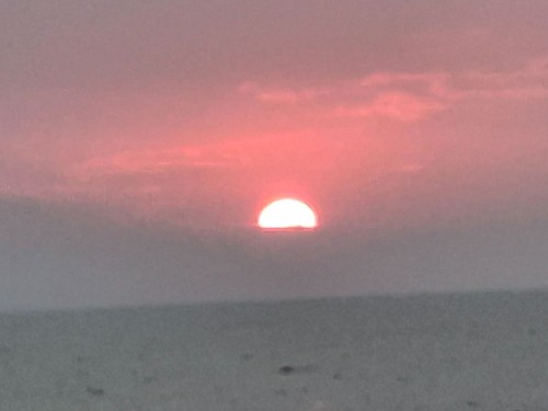 20250830_061414.jpg
