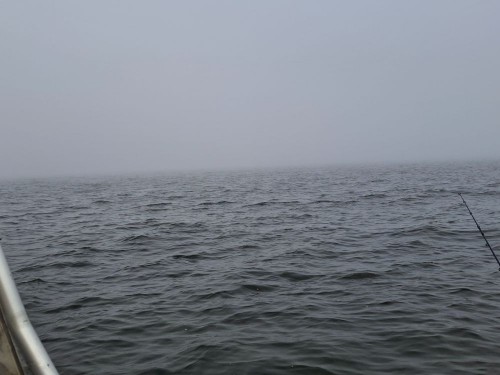 20250830_085914.jpg