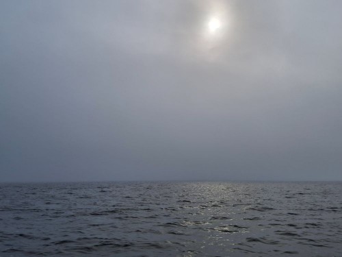 20250830_091712.jpg