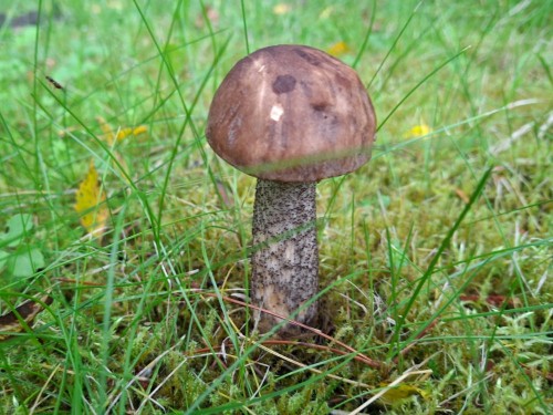 20250830_172139.jpg