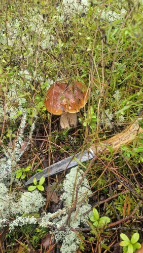 20250830_094450.jpg