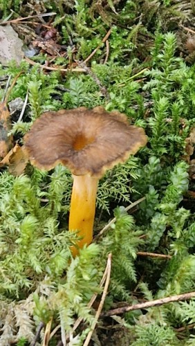 20250906_075041.jpg