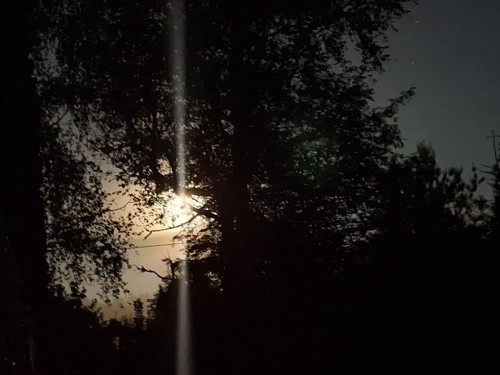 20250905_220740.jpg