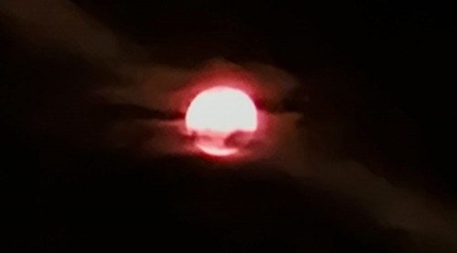 20250907_045319.jpg