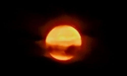 20250907_045336.jpg