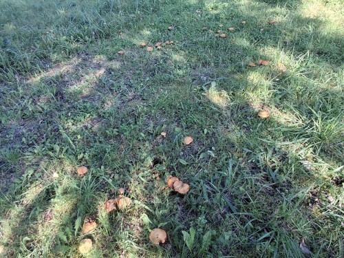 20250907_140533.jpg