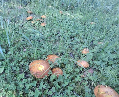 20250907_140549.jpg