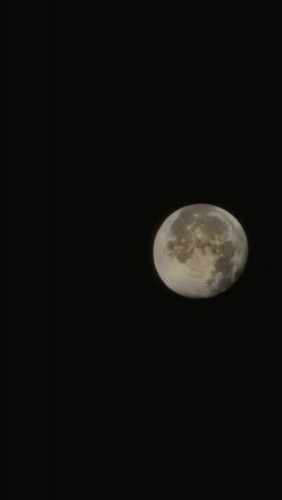 20250909_061927.jpg