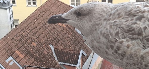 20250911_173549.jpg
