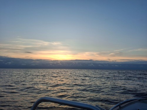 20250913_064736.jpg