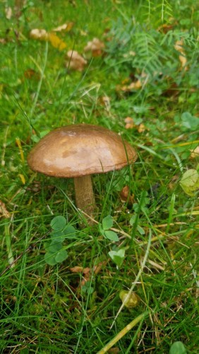 20250923_172300.jpg