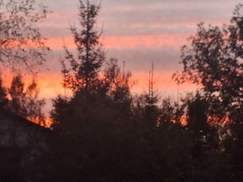20250926_191515.jpg