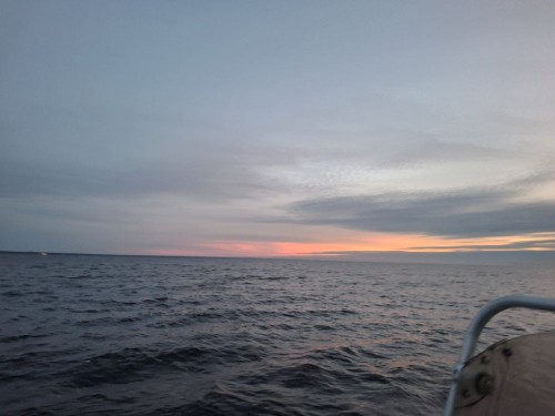 20250927_065504.jpg