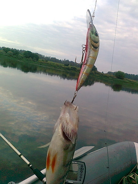 Изображение 1398.jpg