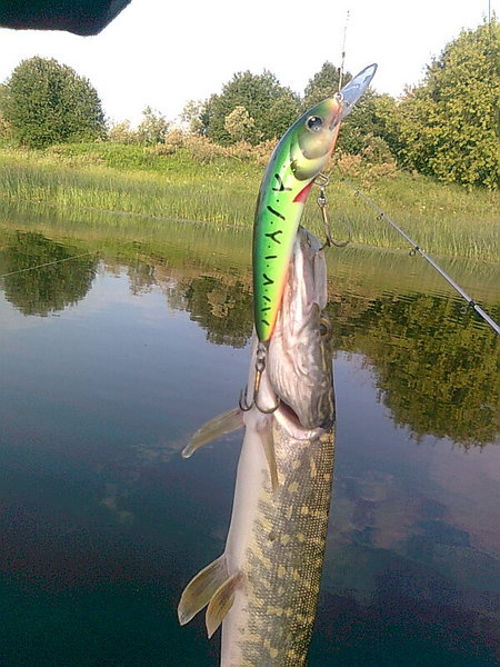 Изображение 1400.jpg