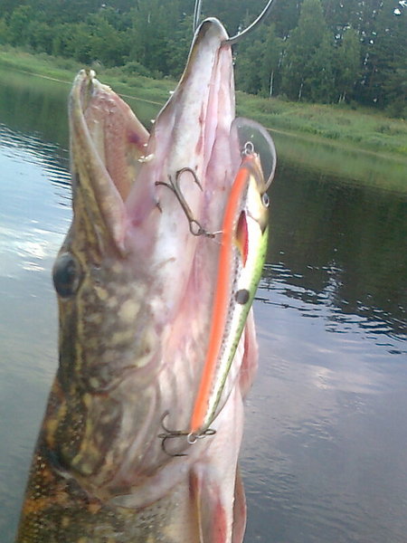 Изображение 1388.jpg