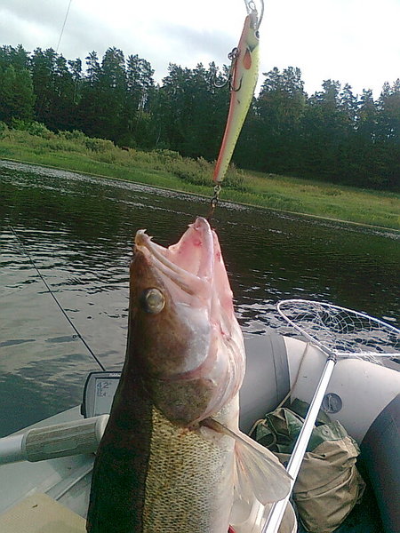 Изображение 1407.jpg