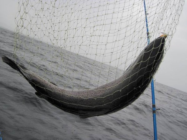 Изменение размера IMG_3566.JPG