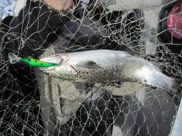 Изменение размера IMG_3628.JPG