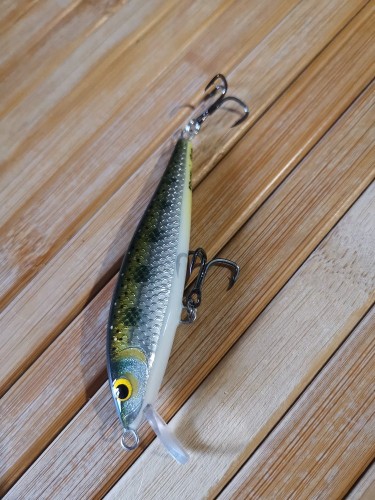 Вот ещё пескарь. Дитя компромиссов так сказать. Получил почти то, что представлял. Есть что изменить, есть что оставить.