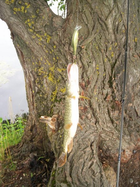 а эта вышла на миношку