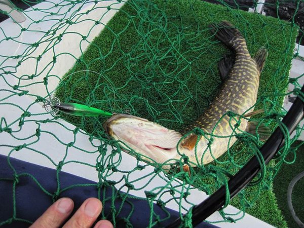 нежелательный объект ловли ))