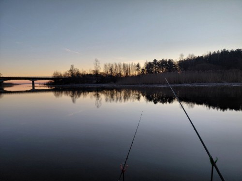 20260321_061217.jpg