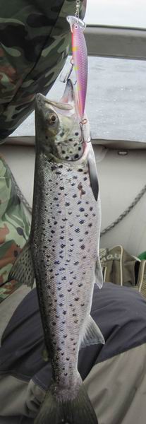 Изменение размера IMG_3563_1.jpg