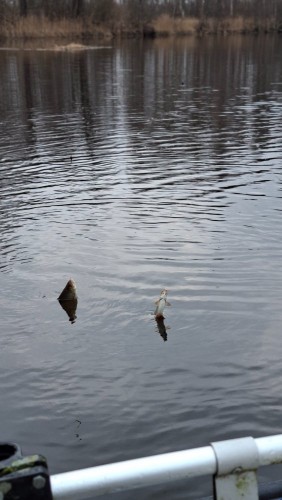 20260404_072810.jpg