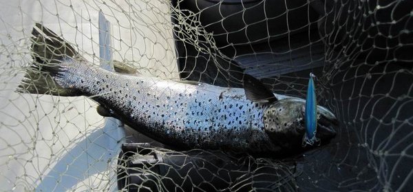 Изменение размера IMG_3671_1.jpg