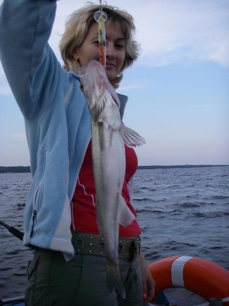 супруга поймала первенца этого сезона,отпущен