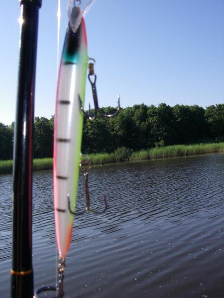 №2 - самый уловистый,точно воблер работы Олега(спасибо за доверие ко мне,как к испытателю!!!)петлю подогнул,строго горизонтально лучше всего,КМК