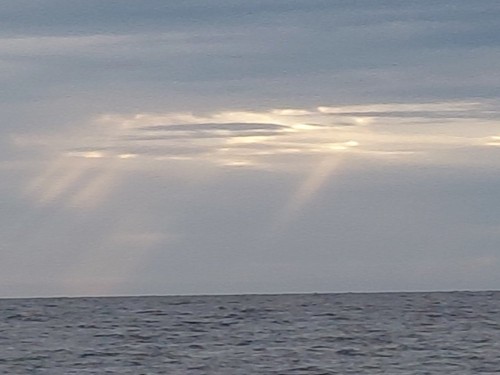20260613_060330.jpg