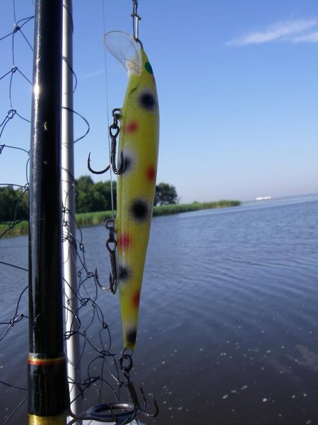 №3-самый уловистый