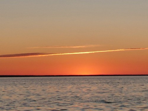 20260620_035648.jpg