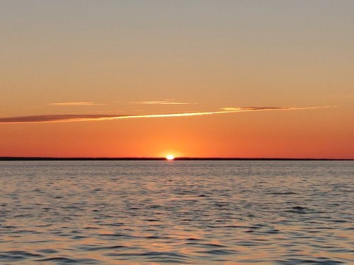 20260620_035939.jpg