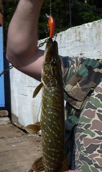 С пирса хватали щупачки на красные зетики.