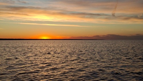 20260623_035925.jpg