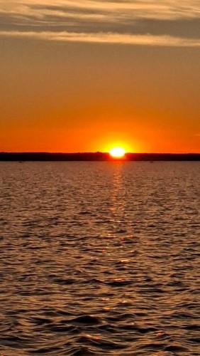 20260623_040433.jpg