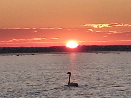 20260625_040455.jpg