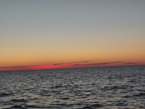 20260625_033504.jpg