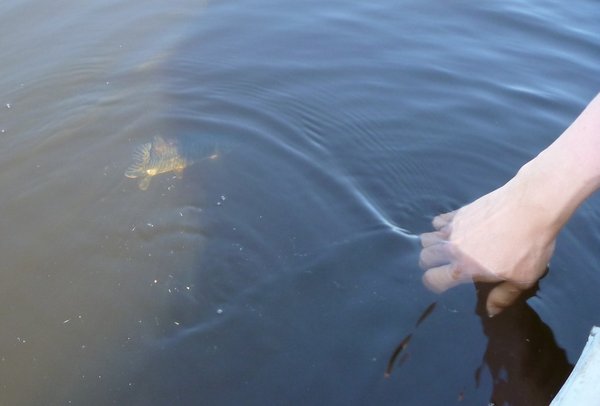 Но со всеми шнурками мы поступали довольно жёстко - в воду их, на дно!